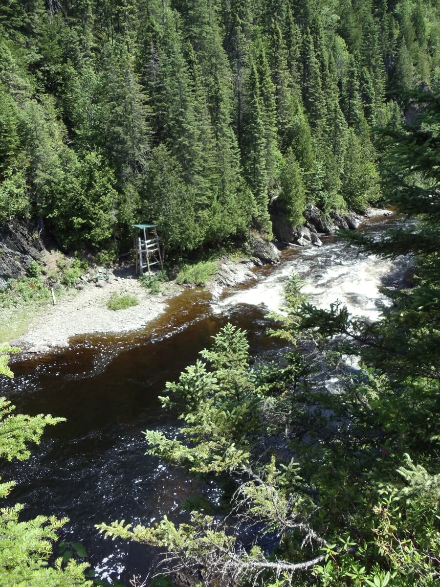 Rivière Causapscal - Secteur 2