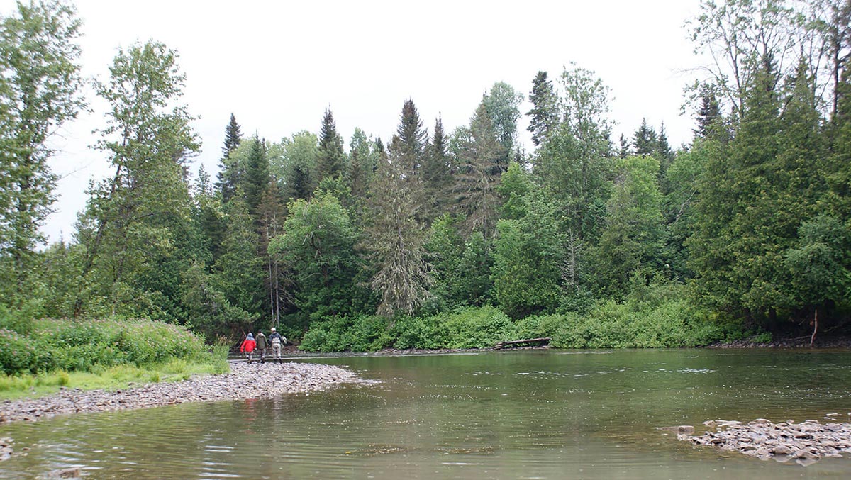 Rivière Matapédia - Secteur 4