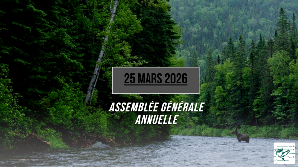 <h2>Assembl&eacute;e g&eacute;n&eacute;rale annuelle</h2>
