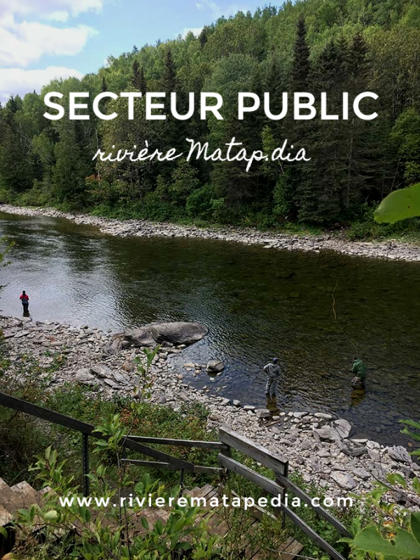 PUBLIC SECTOR - MATAPEDIA RIVER