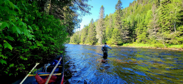 Causapscal river - sector 1