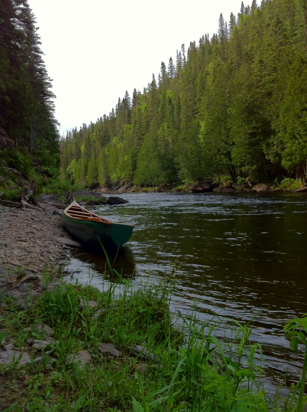 Causapscal River - Sector 1
