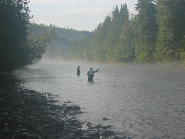 Causapscal River - Sector 1