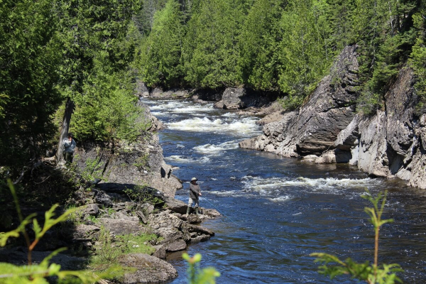 Rivière Causapscal - Secteur 2