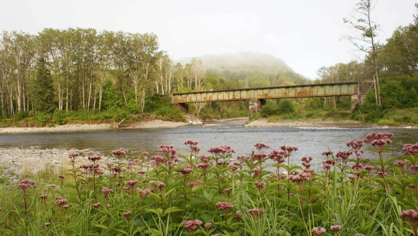 Matapédia River - Glen Emma Sector