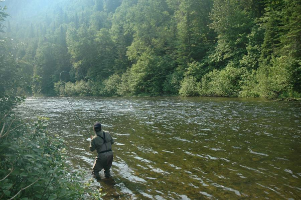 Patapedia River - Sector 1