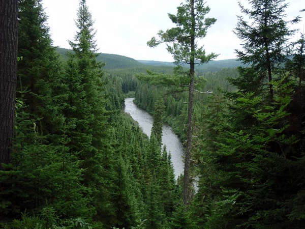 Rivière Patapédia