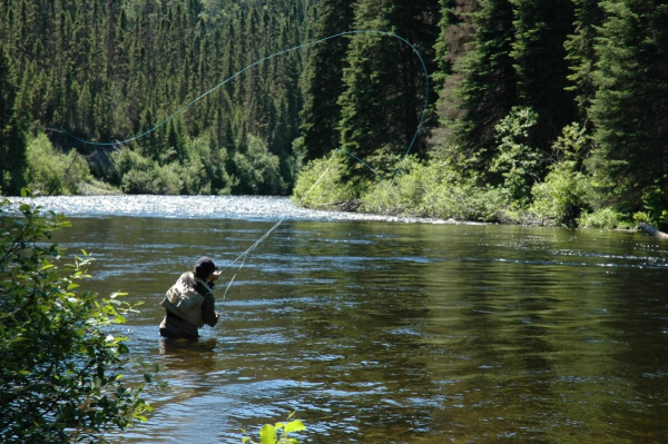 Patapedia River - Sector 2
