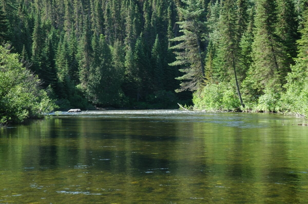 Patapedia River - Sector 2