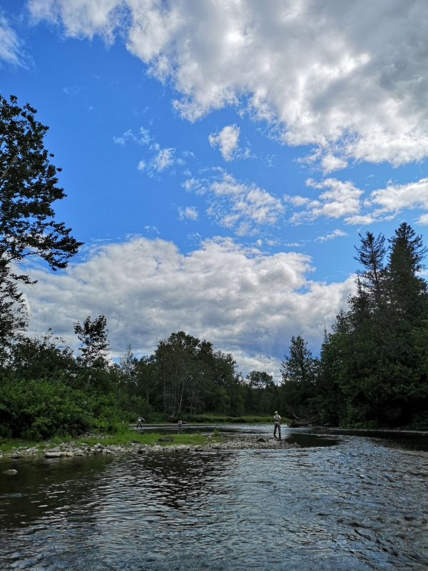 Rivière Matapédia - secteur 4 Rivière Matapédia - secteur 4